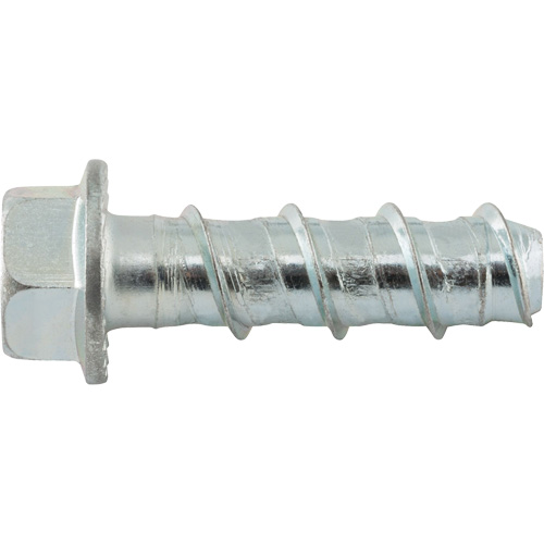 Wedge Bolts, Carbon Steel, 1/2" x 2" Nia-Chem Ltd.