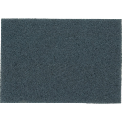 Tampon pour planchers, 14" x 20", Nettoyage/&agrave; r&eacute;curer, Bleu Nia-Chem Ltd.