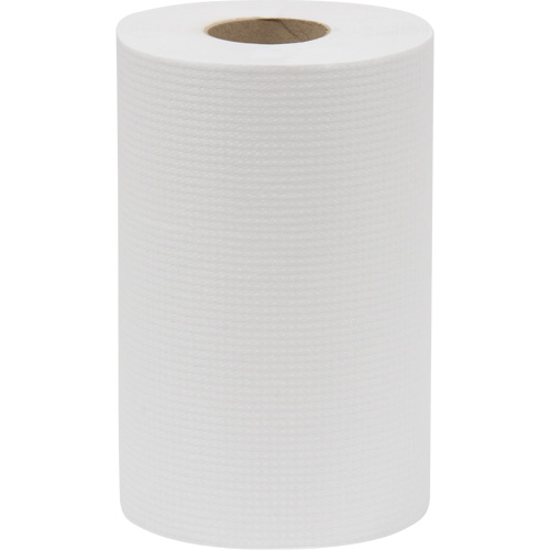 Everest Pro Paper Towel Rolls, 1 Ply, Standard, 300' L Nia-Chem Ltd.