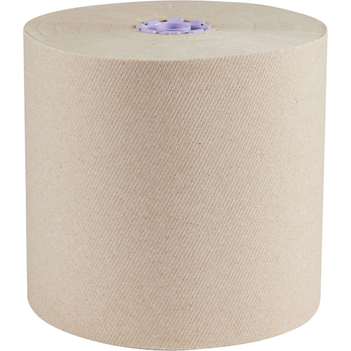 Essential 100% Recycled Brown Hard Roll Towels, 1 Ply, Standard, 700' L Nia-Chem Ltd.