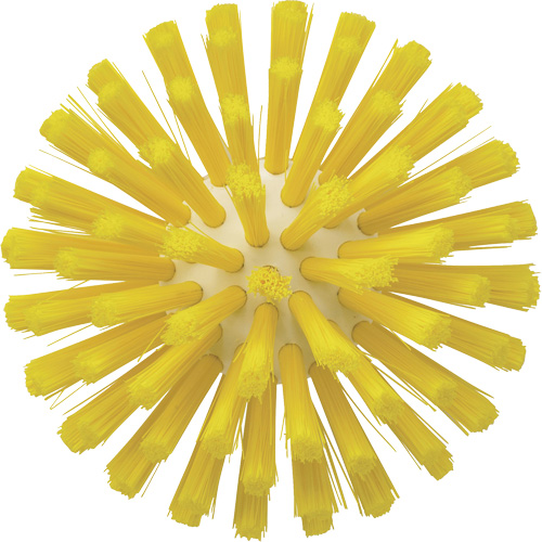 Brosse de 5", Soies Moyen, Longueur de 4-1/2", Jaune Nia-Chem Ltd.