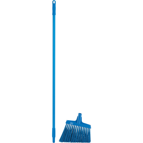 T&ecirc;te &agrave; balai en angle avec manche en m&eacute;tal, Crins Extra-ferme, 12", Polyester, Bleu Nia-Chem Ltd.
