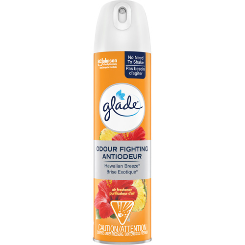 Assainisseur dair, Brise exotique, Canette a&eacute;rosol Nia-Chem Ltd.