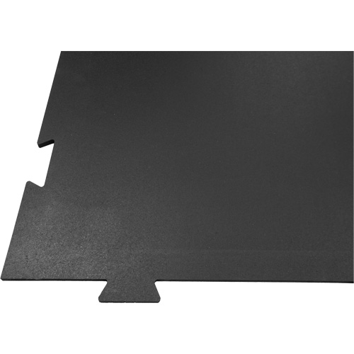 Plancher pour centre d'entraînement &agrave; la maison Voyager Nia-Chem Ltd.