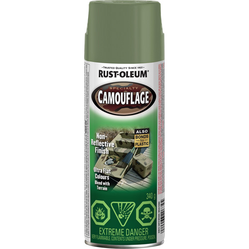 Peinture de camouflage Sp&eacute;cialit&eacute;, Canette a&eacute;rosol, Brun terre Nia-Chem Ltd.