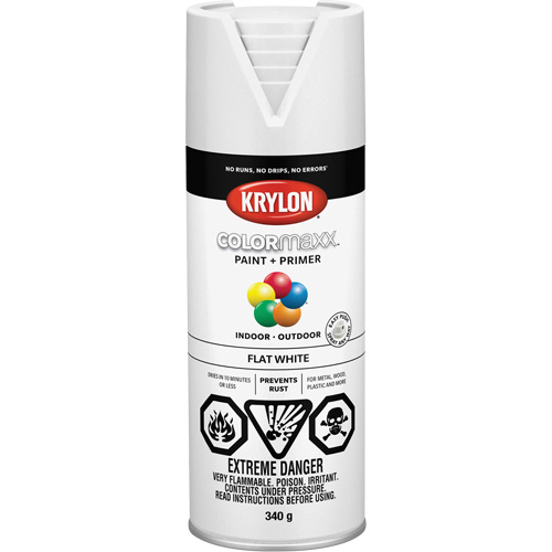 COLORmaxx Paint + Primer, White, Very Flat, 12 oz., Aerosol Can Nia-Chem Ltd.