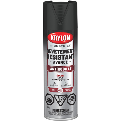 Tough Coat&reg; Advanced Paint with Rust Barrier Technology, Black, Flat, 425 g, Aerosol Can Nia-Chem Ltd.