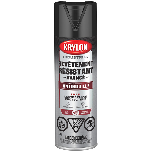 Peinture Tough Coat avec technologie Rust Barrier, Noir, Tr&egrave;s brillant, 425 g, Canette a&eacute;rosol Nia-Chem Ltd.