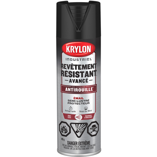 Tough Coat&reg; Advanced Paint with Rust Barrier Technology, Black, Semi-Gloss, 425 g, Aerosol Can Nia-Chem Ltd.