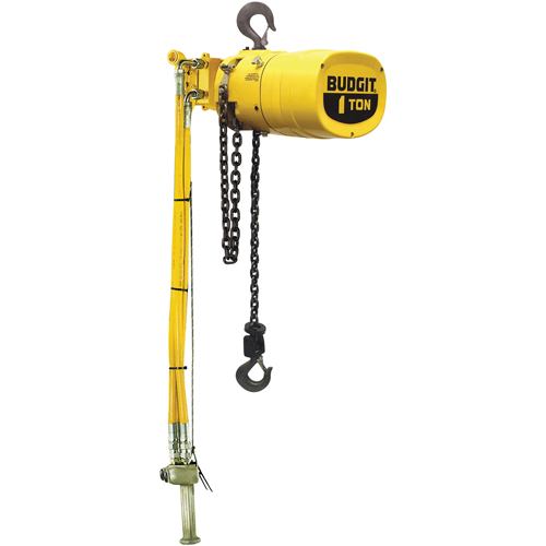 Palans pneumatiques Budgit s&eacute;rie 6000 Nia-Chem Ltd.