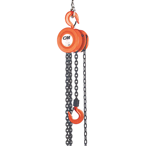 Chain Hoist, 20' Lift, 1000 lbs. (0.5 tons) Capacity, Steel Chain Nia-Chem Ltd.