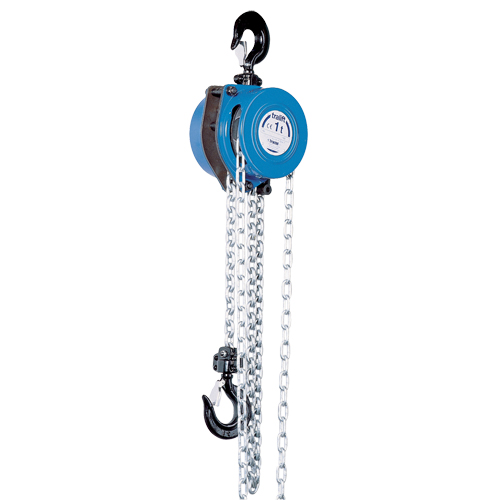 Tralift&reg; Chain Hoist, 20' Lift, 4000 lbs. (2 tons) Capacity, Grade 80 Chain Nia-Chem Ltd.