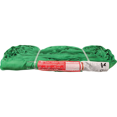&eacute;lingue ronde en polyester, Vert, 12' lo, 6000 lb Charge verticale Nia-Chem Ltd.