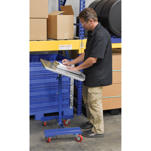 Mobile Tilting Work Table Nia-Chem Ltd.