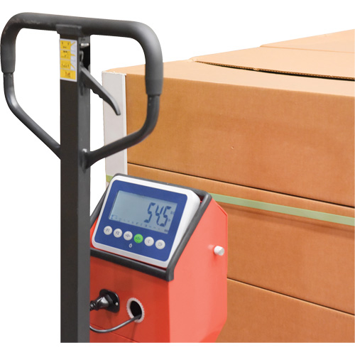 Transpalette, 48" lo x 27,5" la, Capacit&eacute; de 5000 lb Nia-Chem Ltd.