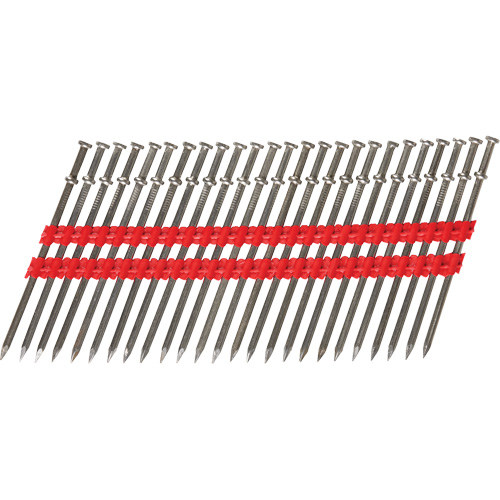 16D Collated Duplex Nails Nia-Chem Ltd.