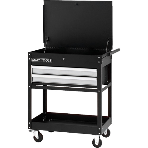 Utility Cart, 2 Drawers, 30-1/4" L x 19" W x 35-3/4" H, Black Nia-Chem Ltd.