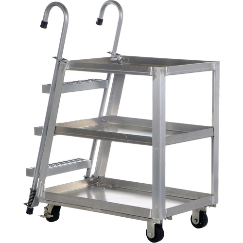 Stockpicker Truck, Aluminum, 21-7/8" W x 40" D, 3 Shelves, 660 lbs. Capacity Nia-Chem Ltd.