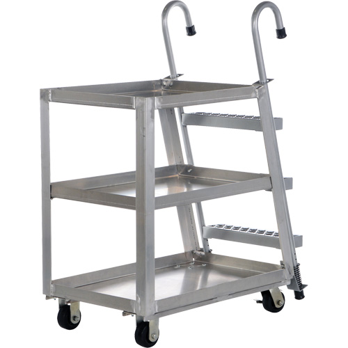 Stockpicker Truck, Aluminum, 21-7/8" W x 40" D, 3 Shelves, 660 lbs. Capacity Nia-Chem Ltd.