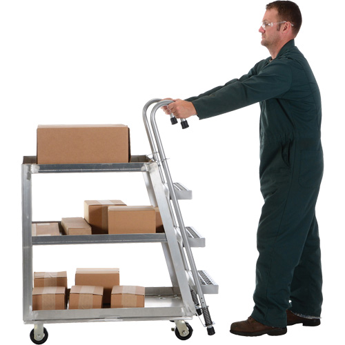 Stockpicker Truck, Aluminum, 21-7/8" W x 40" D, 3 Shelves, 660 lbs. Capacity Nia-Chem Ltd.