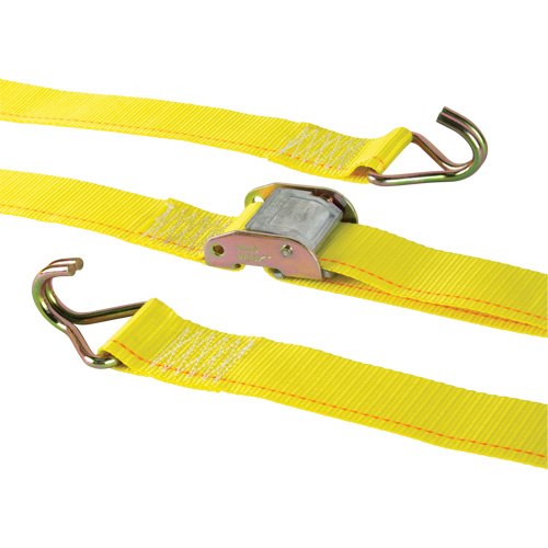 Tendeur d'arrimage &agrave; cliquet, Boucle &agrave; came, 2" la x 12' lo, Charge d'utilisation 500 lb (227 kg) Nia-Chem Ltd.