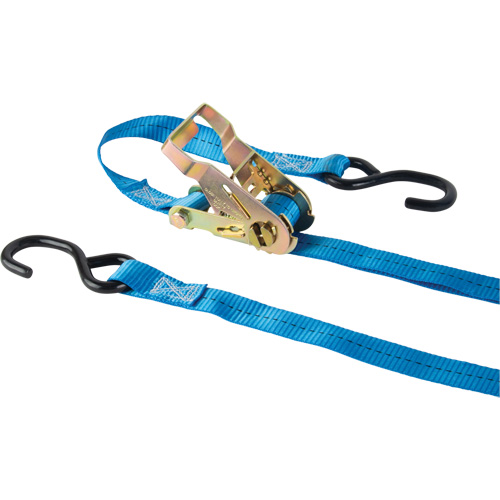 Tendeur d'arrimage &agrave; cliquet, Crochet en J, 15' , 1" , Charge d'utilisation max. 500 lb (227 kg) Nia-Chem Ltd.