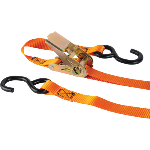 Ratchet Strap, S-Hook, 1" W x 12' L, 2200 lbs. (998 kg) Working Load Limit Nia-Chem Ltd.