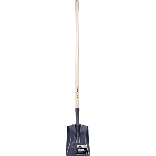 Pro Square Point Shovel, Wood, Tempered Steel Blade, Straight Handle, 48" Long Nia-Chem Ltd.