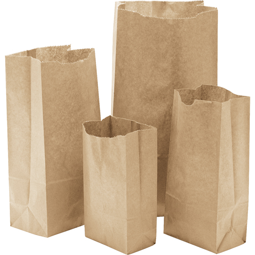 Paper Bags #10, Paper, 6-1/2" W x 13-0/0" L Nia-Chem Ltd.