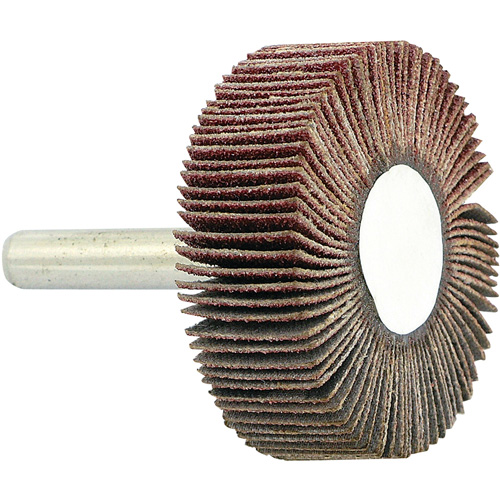 Disque &agrave; lamelles mont&eacute; sur mandrin, Grain 80, 1-1/2" x 1/2" x 1/4" Nia-Chem Ltd.