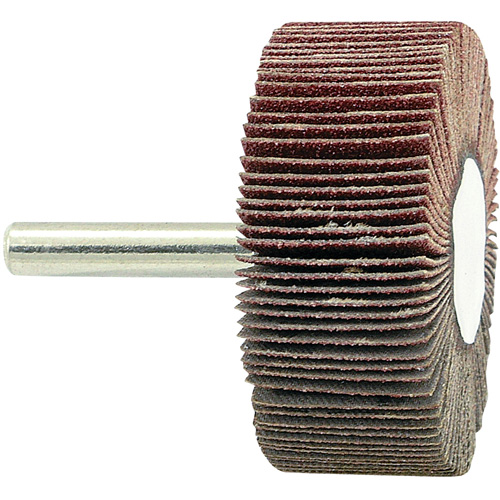 Disque &agrave; lamelles mont&eacute; sur mandrin, Grain 80, 2" x 3/4" x 1/4" Nia-Chem Ltd.