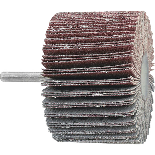 Mounted Flapwheel, 60 Grit, 3" x 1" x 1/4" Nia-Chem Ltd.