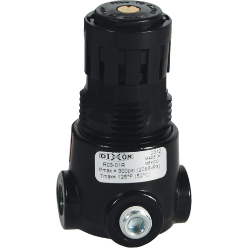 Wilkerson Miniature Regulator R03, 1/8" NPT, 300 psi Max. PSI, Standard Nia-Chem Ltd.