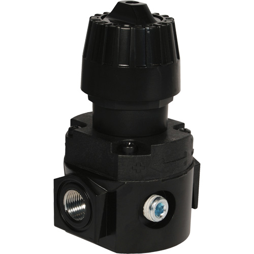 Wilkerson Compact Regulator R16, 1/4" NPT, 300 psi Max. PSI, Standard Nia-Chem Ltd.