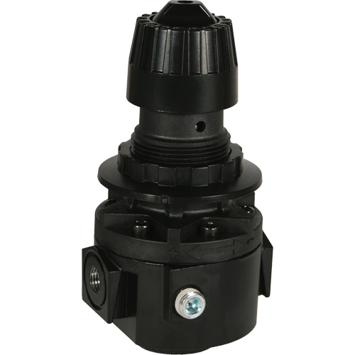 Wilkerson Regulator R26, 1/2" NPT, 300 psi Max. PSI, Standard Nia-Chem Ltd.