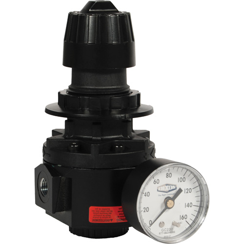 Wilkerson Regulator R26, 1/2" NPT, 300 psi Max. PSI, Standard Nia-Chem Ltd.