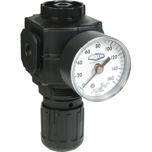 Series 1 Compact Regulator, 1/2" NPT, 150 PSI Max. PSI, Standard Nia-Chem Ltd.