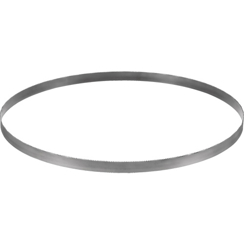 Cordless Band Saw Blade, Bi-Metal, 32-7/8" L x 0.02" Thick, 14-18 TPI Nia-Chem Ltd.