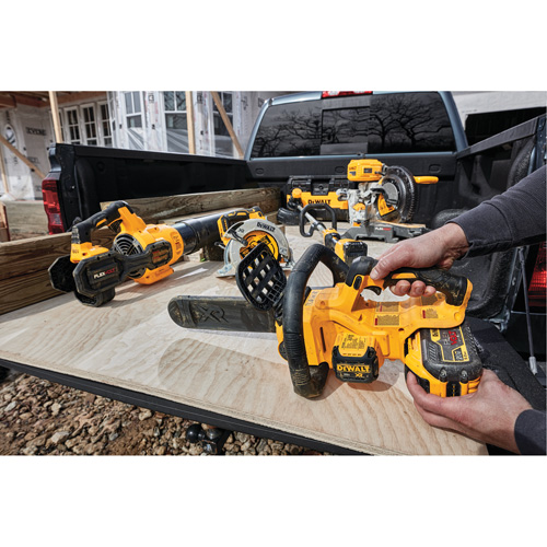 MAX* Cordless Chainsaw Kit, 12", Battery Powered, 20 V Nia-Chem Ltd.