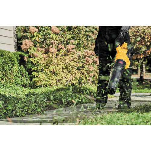 Max* FlexVolt&reg; Brushless Cordless Handheld Axial Blower, 60 V, 125 MPH Output, Battery Powered Nia-Chem Ltd.