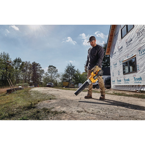 Max* FlexVolt&reg; Brushless Cordless Handheld Axial Blower, 60 V, 125 MPH Output, Battery Powered Nia-Chem Ltd.