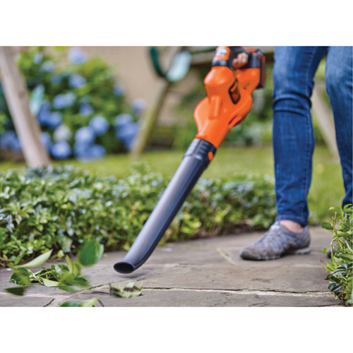 Max* PowerBoost Cordless Sweeper Kit, 20 V, 130 MPH Output, Battery Powered Nia-Chem Ltd.