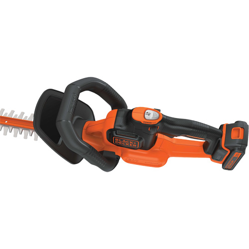 Ensemble de taille-haie sans fil Max* PowerCut, 22", 20 V, &agrave; pile Nia-Chem Ltd.