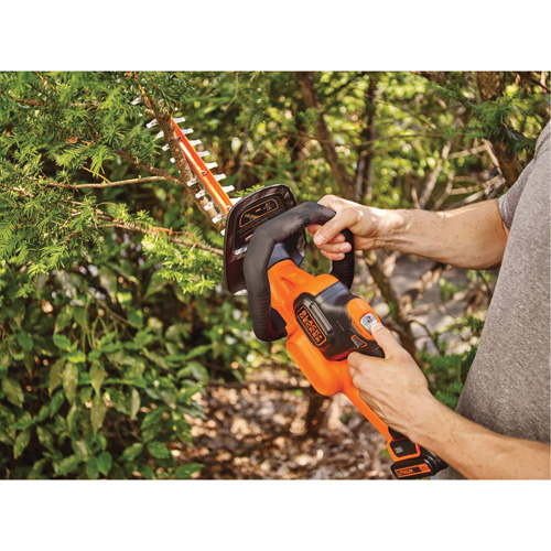 Ensemble de taille-haie sans fil Max* PowerCut, 22", 20 V, &agrave; pile Nia-Chem Ltd.