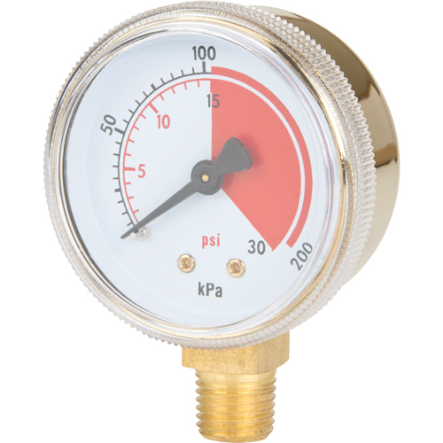 Brass Gauge, 2" , 30 psi, Bottom Mount, Analogue Nia-Chem Ltd.