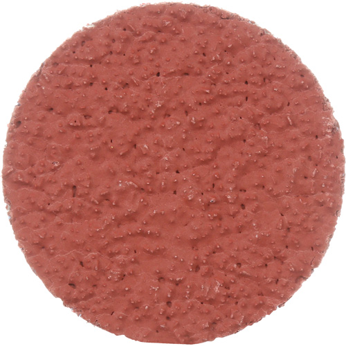Disque &agrave; d&eacute;ligner durable II Roloc Cubitron, 2" dia., Grain 36+, C&eacute;ramique Nia-Chem Ltd.