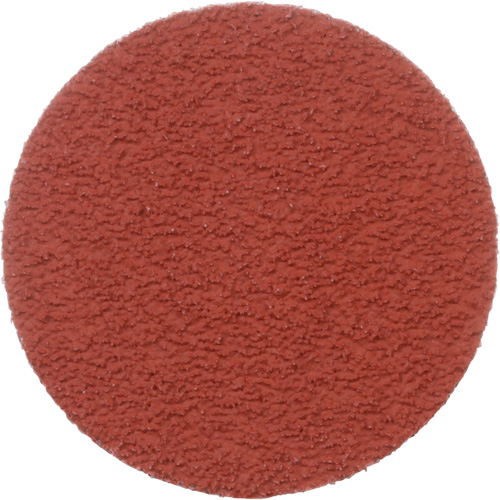 Cubitron II Roloc Durable Edge Disc, 2" Dia., 60+ Grit, Ceramic Nia-Chem Ltd.