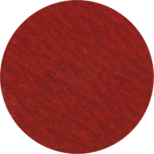 Disque de ponçage 3" &agrave; support verrouillable, 3" dia., Grain 36, C&eacute;ramique Nia-Chem Ltd.