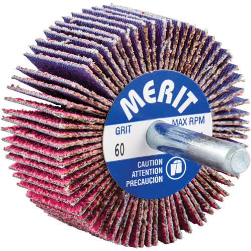 Shank Mounted Mini Flap Wheel, Ceramic Alumina, 60 Grit, 2" x 1" x 1/4" Nia-Chem Ltd.