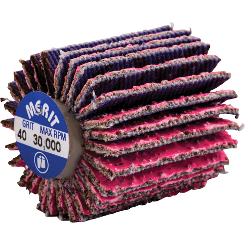 Threaded Mini Flap Wheel, Ceramic Alumina, 40 Grit, 1" x 1" x 1/4"-20 Nia-Chem Ltd.